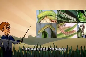 阿维菌素这样复配，杀菌杀虫效果好，持效期40-50天视频封面