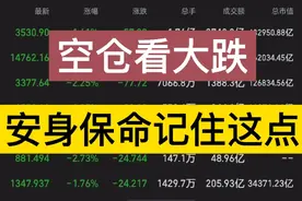 空仓看大跌，再次躲过大跌，分享一个安身保命的方法视频封面