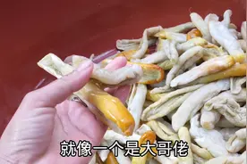 被朋友怀疑用工业盐腌瓜皮，现在给大家看看是食用盐还是工业盐？视频封面