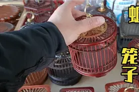中环普济河道花鸟鱼虫市场大集，看看这家的红木蝈蝈笼子视频封面