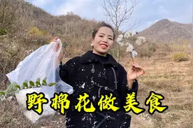 农村山上的野棉花，原来是一道美食，这种吃法你见过没视频封面
