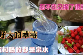 农村的饮用水是纯天然泉水干净清澈绝无漂白味道喝着有甘甜的味道视频封面