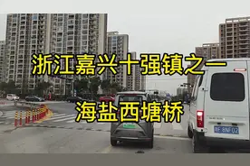 浙江嘉兴这个经济强镇，据说比县城人口都多，到处都是高楼大厦视频封面