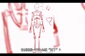 我们的骨骼也很重要，因为它们是我们肌肉的锚视频封面
