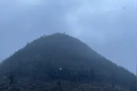 我怀里这么暖和你要不要过来试试😛视频封面