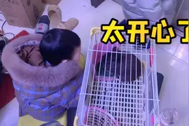 客户花钱送来一只小兔子给我养一周，可把我两儿子开心坏了视频封面