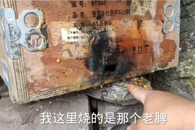 老巢脾好诱蜂，好多蜂友不知道怎么用，具体操作在这里视频封面