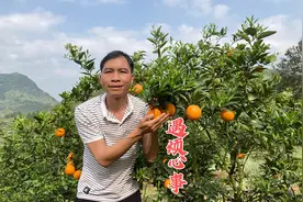 炮哥听到一个不好消息，烦心事一件接一件，到底咋回事视频封面