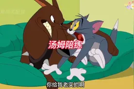 杰瑞戏弄汤姆 汤姆成了老驴陪练视频封面
