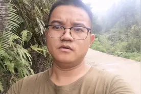 做油漆的原材料漆树，野外遇到会过敏的人，记得解药就在它的附近视频封面