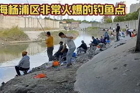 上海杨浦区一非常火爆的钓鱼点，每天人爆满，最多时候100多号人视频封面