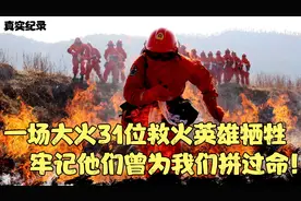 四川凉山一场大火，31位救火英雄牺牲！3年前，他们在为我们拼命视频封面