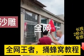 王者捅蜂窝，沙雕教程，一看就会，马上领红包视频封面
