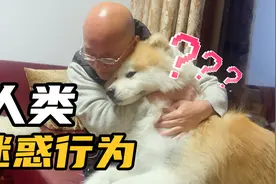 突然亲了口狗子，感觉她可能不爱我了