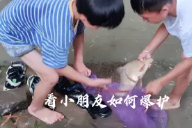 农村的童年，小朋友水沟里抓鱼很是欢乐啊，大鲤鱼两个人抱着走，视频封面
