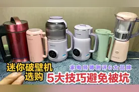怎样买迷你破壁机不会坑？家电师傅测评6款，看38好物节哪款划算视频封面