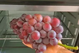 把葡萄放进烤箱里，就是一道传承百年技艺的经典美食，家人超爱吃视频封面
