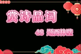 中华诗词100首之四十八《题西林壁》视频封面