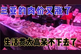 三亚的肉价又涨了，生活费太高呆不下去了视频封面