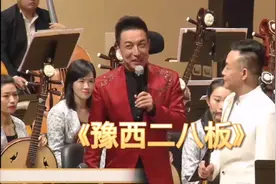 河南民间乐曲《豫西二八板》郝玉岐刘文金改编唢呐演奏郝晓东视频封面