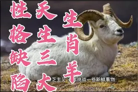 生肖羊天生三大性格缺陷！你有吗？视频封面