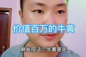 小伙喜得价值百万的牛黄，却因为保管不当变成废品。视频封面