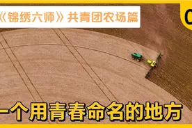 13名年轻的拓荒者拉开第一犁，如今这里建成全国现代农业示范区视频封面