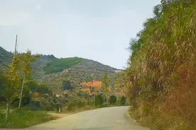 一起来朗诵《新时代》视频封面