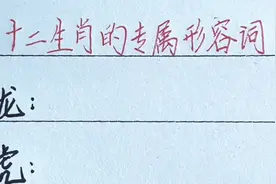 十二生肖的专属形容词视频封面