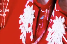 这太红了，我眼睛都看不见了。视频封面