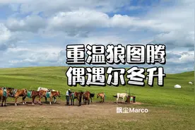 锡林郭勒｜重温电影《狼图腾》，偶遇尔冬升导演视频封面