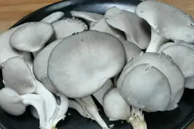 平菇焯水和直接炒都是大错，大厨教你一招，鲜嫩滑爽营养不流失视频封面