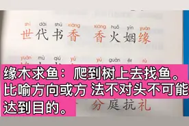 成语接龙：缘木求鱼：爬到树上去找鱼。比喻方向或方法不对头……视频封面