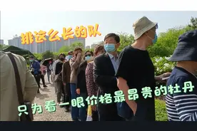 洛阳隋唐植物园最昂贵的牡丹，今天终于看到了！大家觉得漂亮不？视频封面