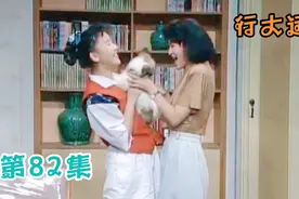 追妻三人行大运：家兴因为对狗毛过敏喷嚏不断，与美好闹得睡沙发视频封面