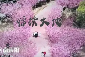 繁花似锦 锦绣大地 春天里的中国视频封面