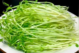 豌豆苗怎样做才不出水颜色翠绿，鲜香脆爽，大厨教你正确做法。视频封面