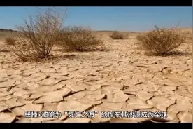 人类可持续发展