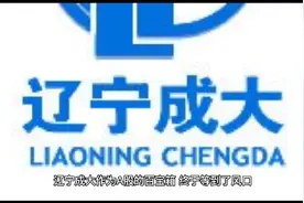 乘风而上的低估票辽宁成大视频封面