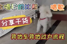 亲自实践异地车异地过户流程，避免弯路，你们要的干货分享来了…视频封面
