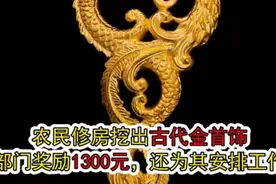 村名修房挖出古代金首饰，获奖励千元，还被安排工作视频封面