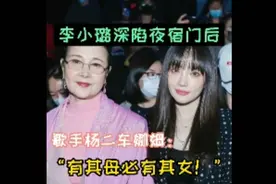 李小璐深陷夜宿门后，歌手杨二车娜姆：有其母必有其女！视频封面