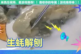 生蚝解刨，有很多结构在软体动物上真的相似，你喜欢生吃吗？视频封面