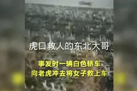 虎口救人的东北大哥，讲述事后:我腿都哆嗦了视频封面