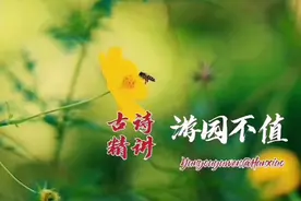 古诗精讲：《游园不值》视频封面