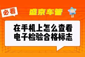 教你在手机上正确查看检车电子标志的方法视频封面
