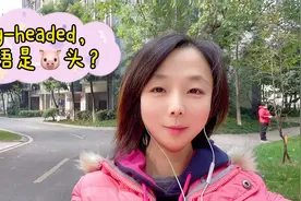 实用英语口语学习。“pig-headed”是“猪头”？视频封面