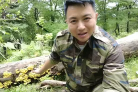长白山脉的物产太丰富了，几百元一斤的榆黄蘑，半小时采了一兜子视频封面