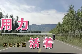 张茜《用力活着》我们都在用力的活着，唱出了多少人的心声视频封面