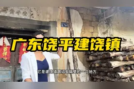 广东饶平北部大山里的镇，跟福建诏安相邻，茶山多，人却很少